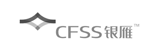 CFSS